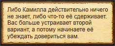 "Разговорить Камиллу"