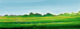 Field.png
