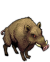 Кабан.png