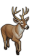 Разъяренный олень
